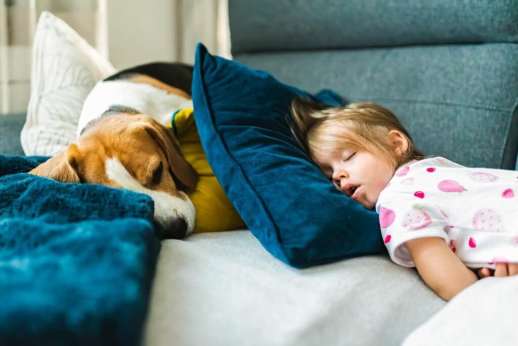 A dog and a small girl asleep on the living room couch.