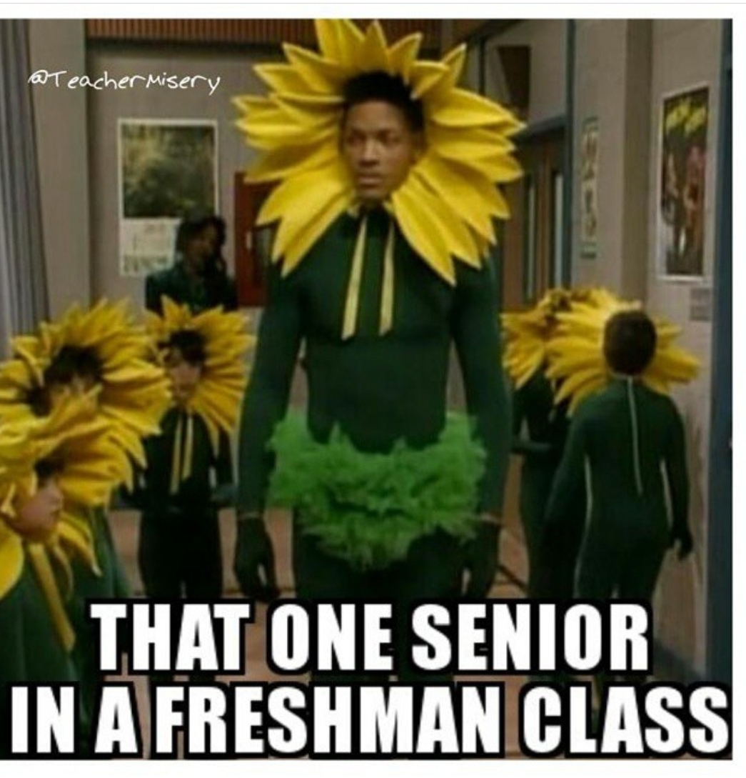 Man in a sunflower costume surrounded by children in the same costume with text overlay - That one senior in a freshman class.