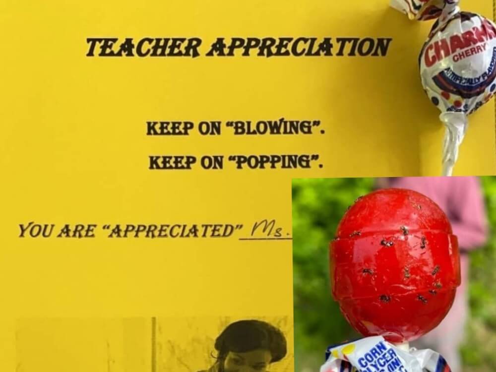 Sucker covered in bugs with an attached note that says - Teacher Appreciation. Keep on Blowing. Keep on Popping.