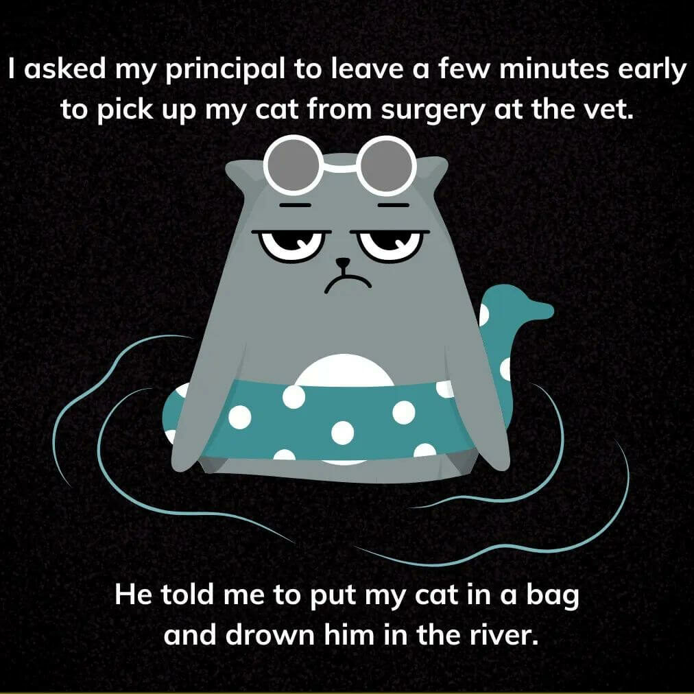 Teacher secret that reads - I asked my principal to leave a few minutes early to pick up my cat from surgery at the vet. He told me to put my cat in a bag and drown him in the river.