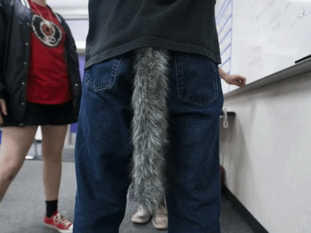 Student wearing an animal tail.