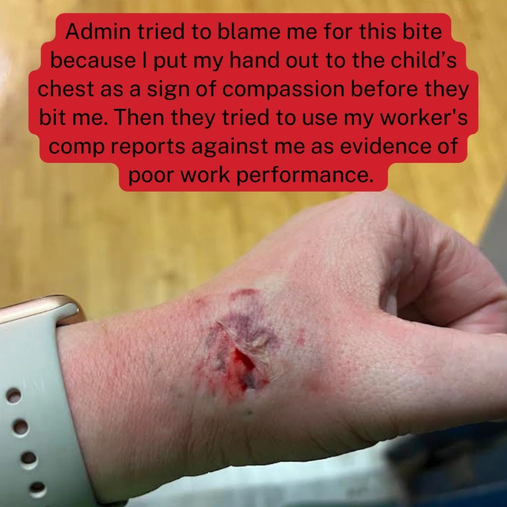 Anonymous contribution from a teacher on their experience in the profession - May 2023 #3