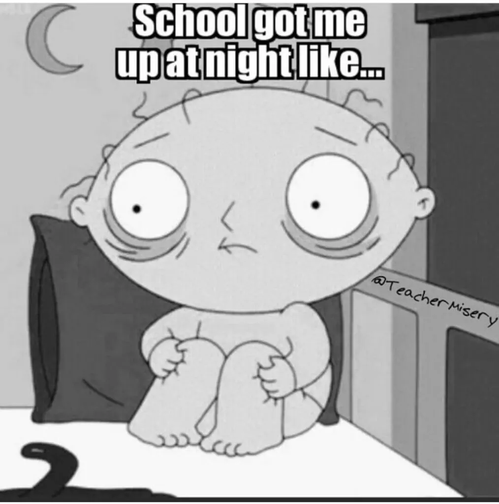 Stewie Griffin from Family Guy looking distressed with text overlay: School got me up at night like...