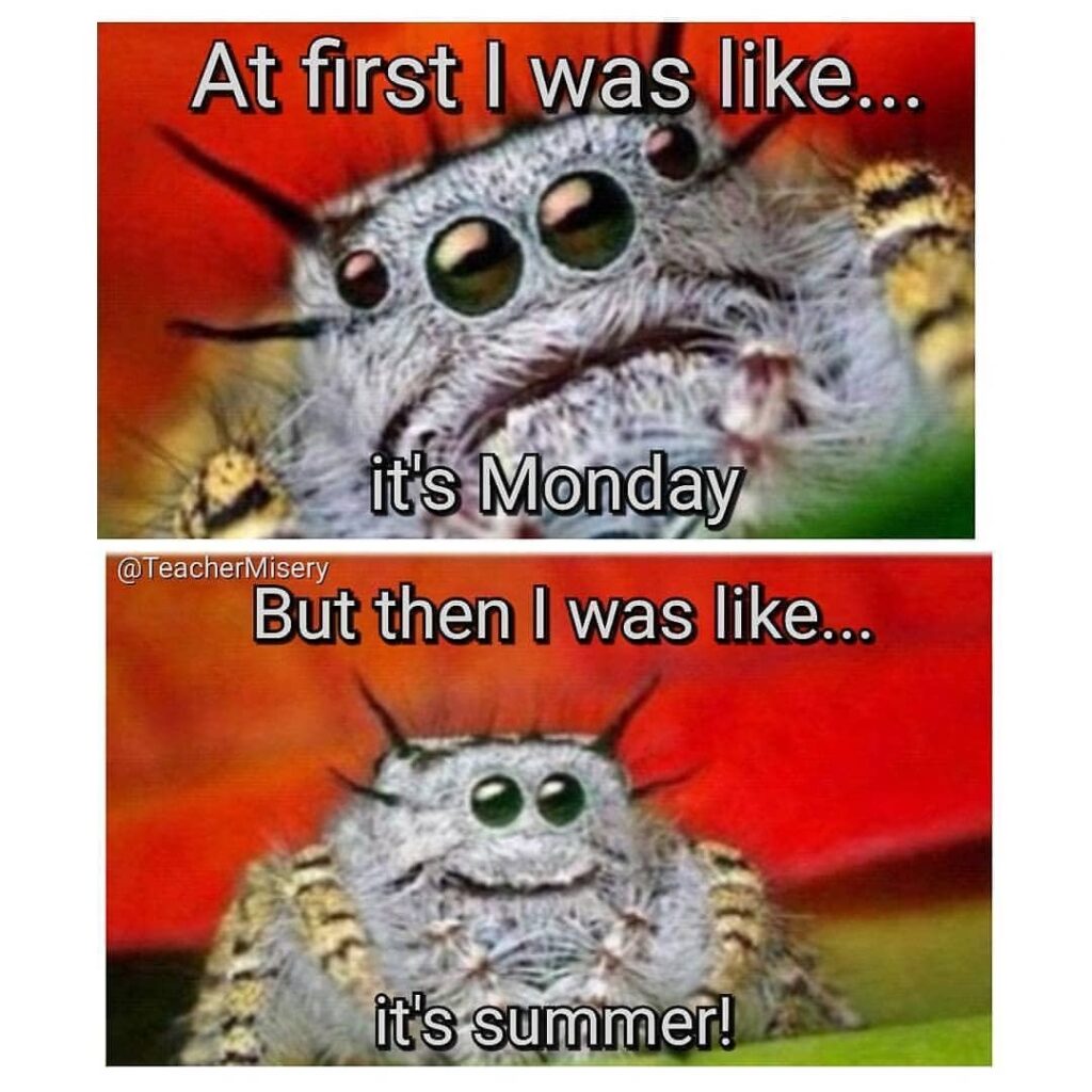 A double picture of a sad and happy bug showing the contrast between a teacher on Monday and during the summer break.