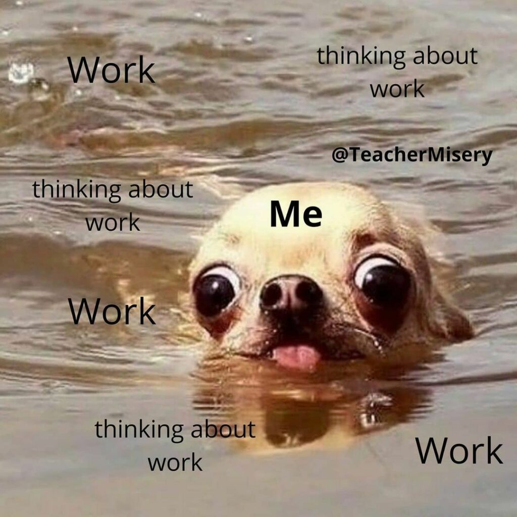 A dog swimming with its head barely above the water representing all the things teachers are drowning in. 