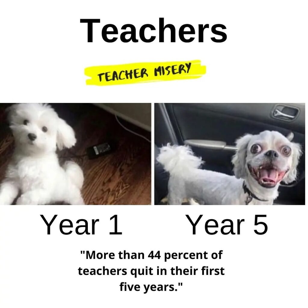Two pictures of a very cute and very deranged dog showing the difference between Year 1 and Year 5 of teaching.