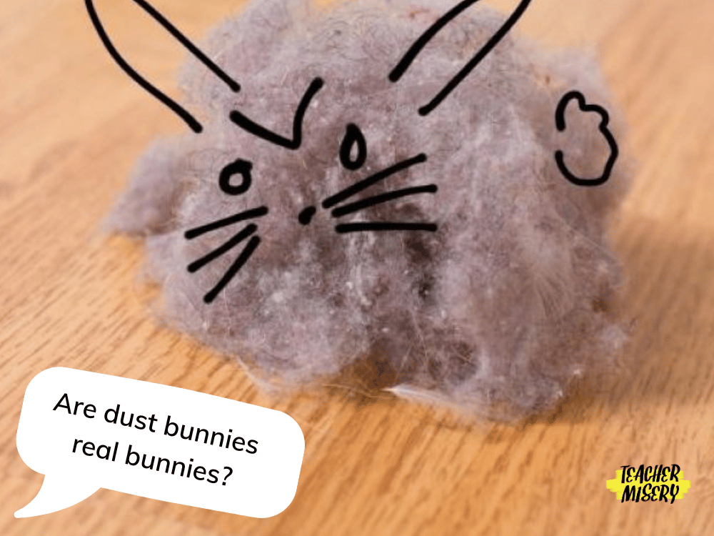 A dust bunny with a bunny face drawn on and a funny question a student asked their teacher below.