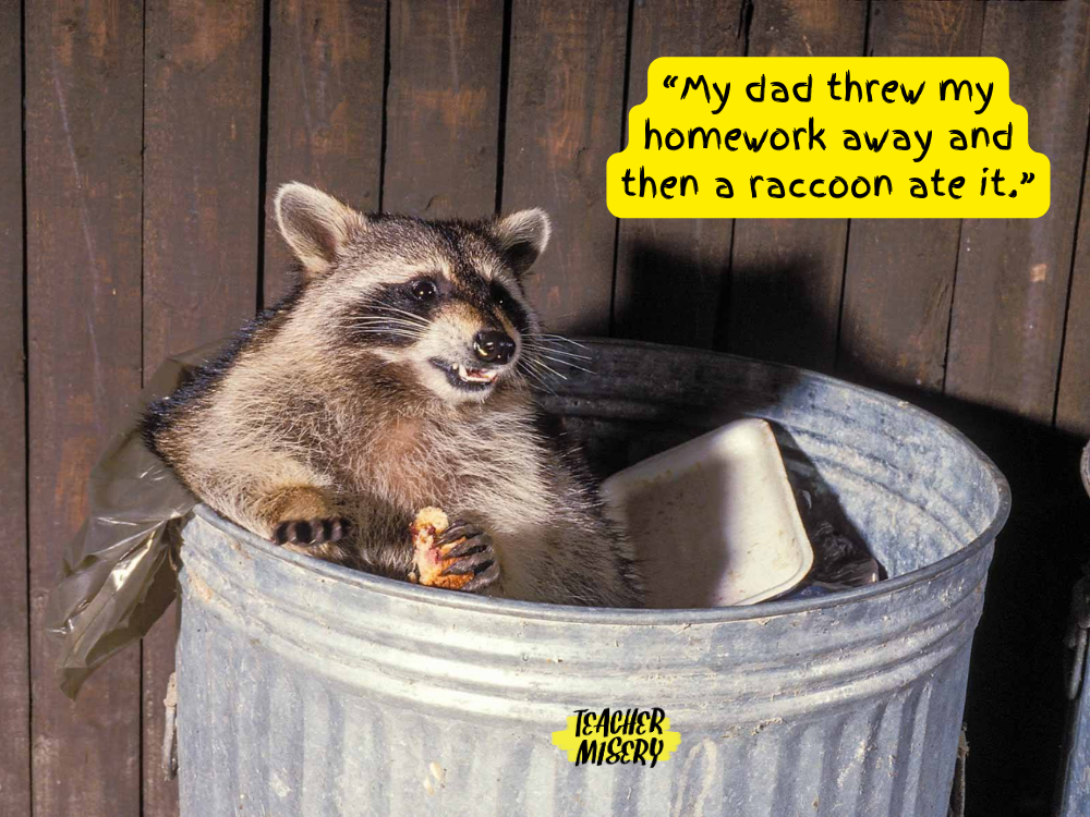A rabid raccoon in a garbage can is used for a totally believable excuse of homework getting eaten.