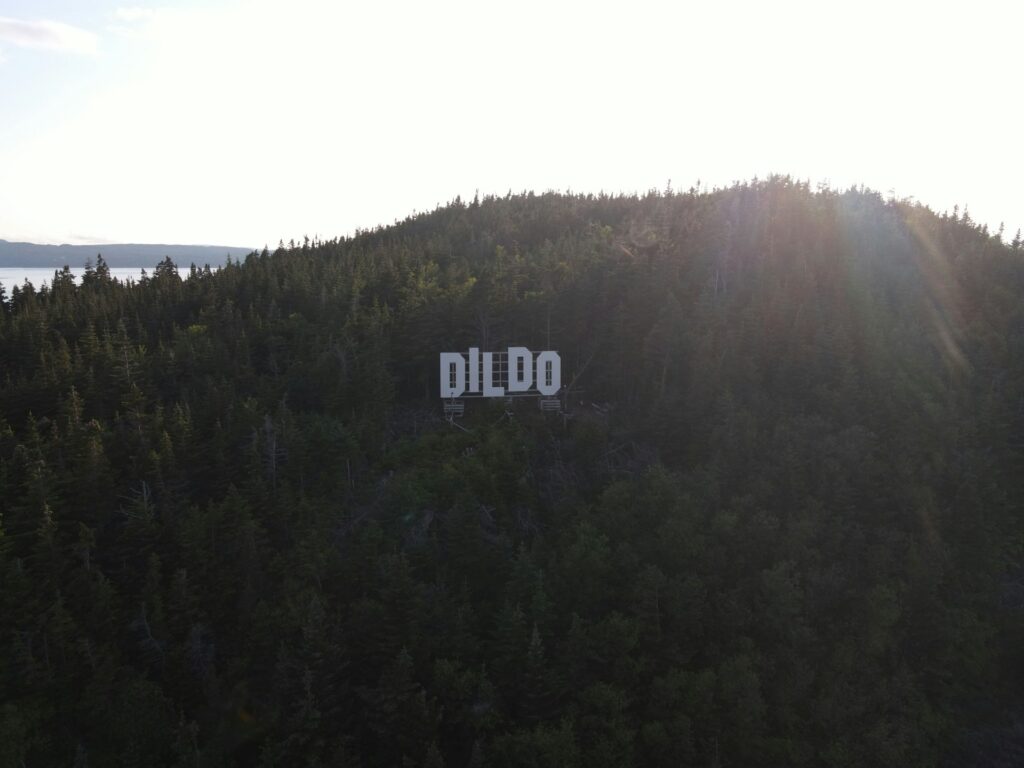 A big Hollywood-styled sign on a forested mountain reading "dildo".